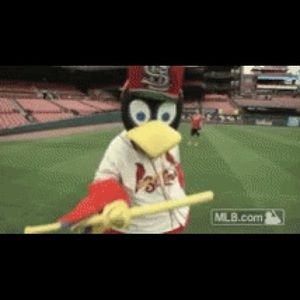 Meet your Posher, Clint